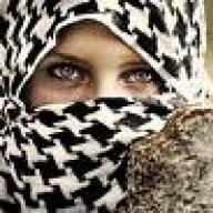 الْقاعـِـدهــْ
