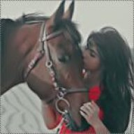 W_al3ajmi