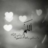 سيدة المدينة