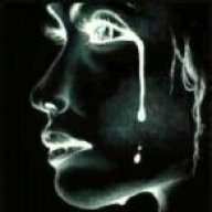 سالى قلب الاسد