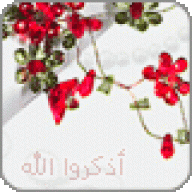 shdn
