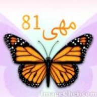 مهى81