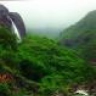 زنكونة
