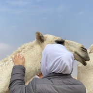 ساحر البسمة