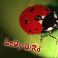 LaDy BiRd