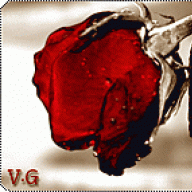 joory-82
