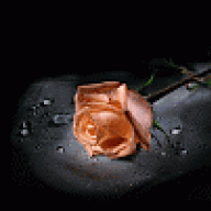 صعــ تكـ H ــراري ــب