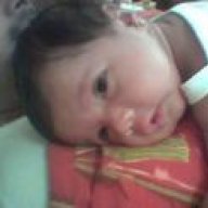 دلالي2005