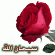 غلا السعودية محتويني