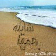 شايله همها