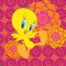 Q8Tweety