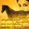 الناااايفه