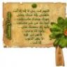 الصدر الكتوووم