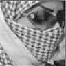 درة الرياض