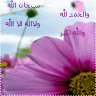 صـب القـفـشـة