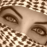 كتكوتة قطر