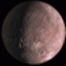 Viempibia