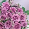 om_3abdalla10