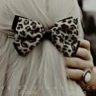 - عتوش -
