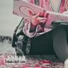 فخامتي بكبريائي