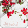 shdn