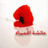 سمورة الحلوة