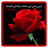 ريد روز