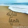 شايله همها