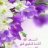 om abd elrahman