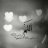 سيدة المدينة